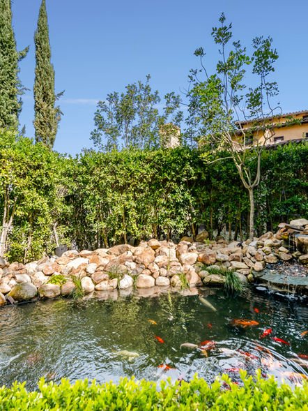 2ad92f_0f430cb1dac3462ba799f1f3e5de9fdd~mv2